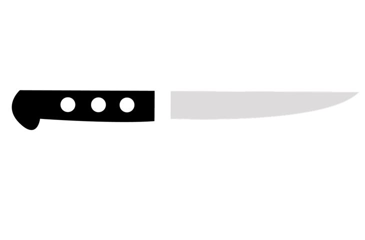 skin knife