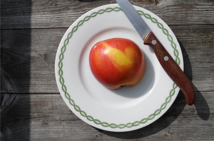 wood knife handle