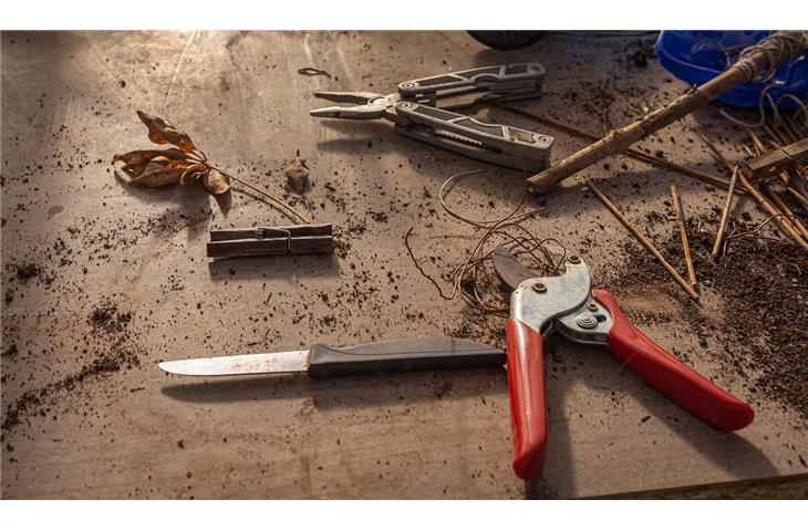 child's pocket knife