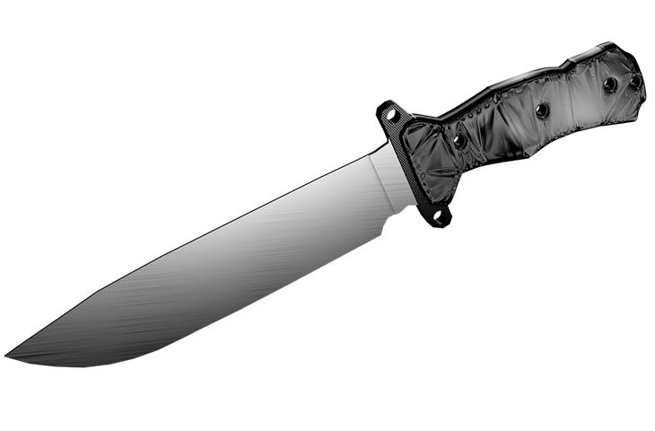 curved knife